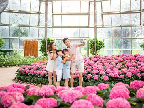 Thư viện ảnh khám phá 1